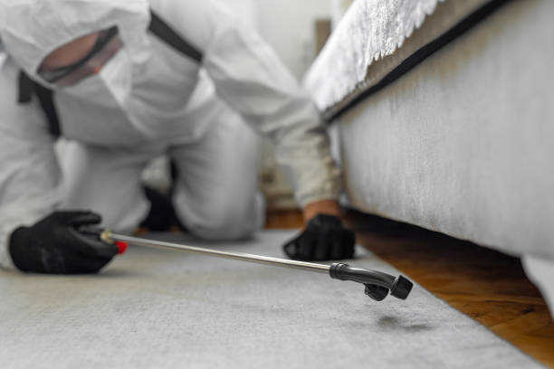 Professional Pest Control technician working in University Gardens, NY