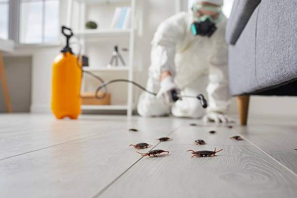 Trusted Rodent Control service in University Gardens, NY - Nex Pest Control