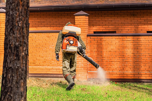 Trusted Emergency Pest Control service in University Gardens, NY - Nex Pest Control